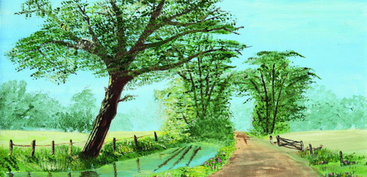 Summer Path by David Fleet