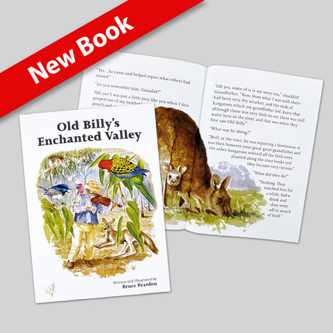 Children's Book - Seasons of Adventure