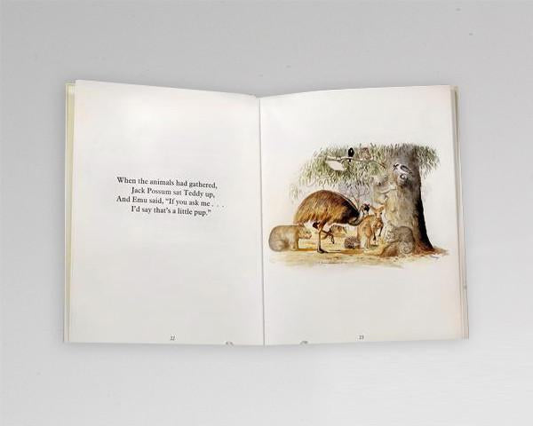 Book “Teddy’s Night Lost in the Bush”